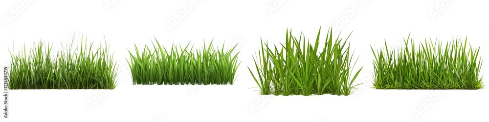 A simple illustration of varying heights of green grass, showcasing different stages of growth in a clean, isolated format. A simple illustration of varying heights of green grass, showcasing different stages of growth in a clean, isolated format.