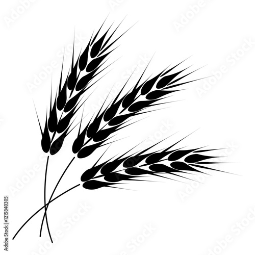 Vector illustration of wheat ears. Isolated on a white background.