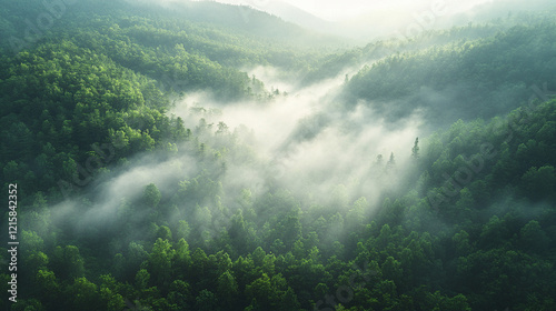 A serene aerial view of a tropical rainforest shrouded in fog sunlight streaming through the dense canopy vibrant greenery creating a sense of mystery calm minimalistic tone with blank space for capti photo