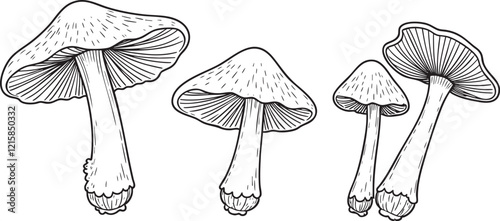 hand drawn illustration of a pencil mushroom