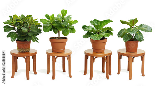 Indoor Plants Arranged on Wooden Stools for Display Generative AI