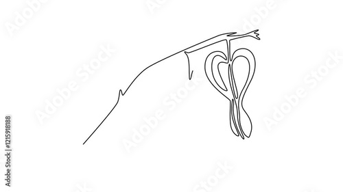 Animated self drawing of continuous line draw beauty fresh dicentra spectabilis garden logo icon. Decorative lyre heart flower concept for wedding invitation card frame. Full length one line animation