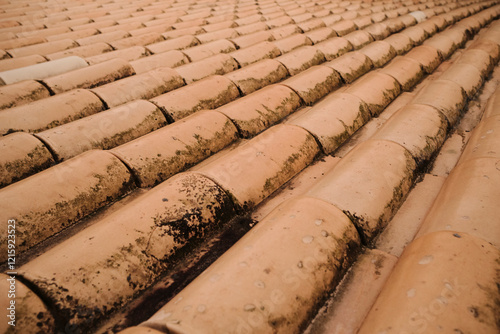 Roof tiles lined up