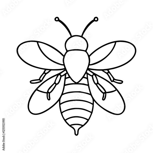vector illustration of a bee