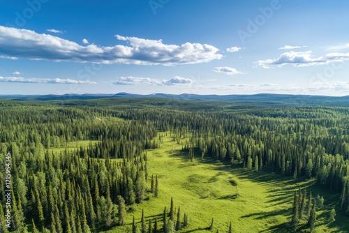 Fototapeta Naklejka Na Ścianę i Meble -  Aerial view lush green boreal forest, sunny day, distant hills, nature landscape
