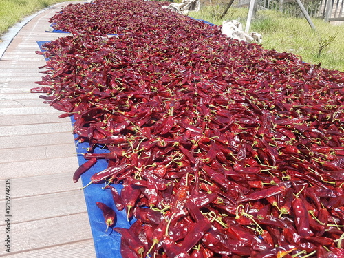 sun chili