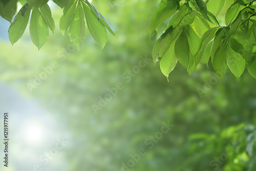Young tree leaves on a light green background