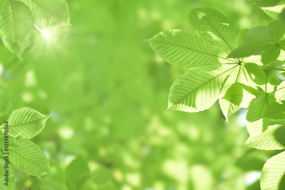 Young tree leaves on a light green background Young tree leaves on a light green background