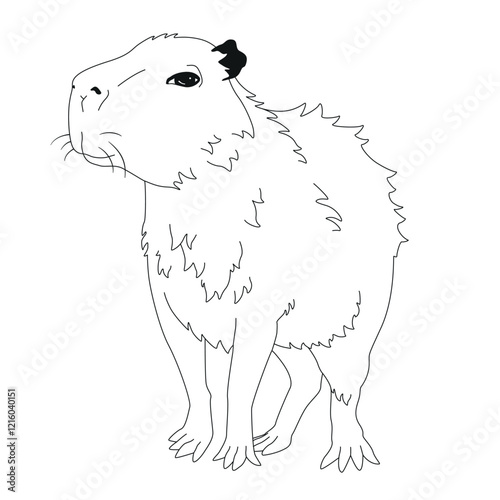 Vector hand-drawn illustration of a capybara in the style of engraving. A sketch of a wild Brazilian animal isolated on a white background. Fauna of South America.