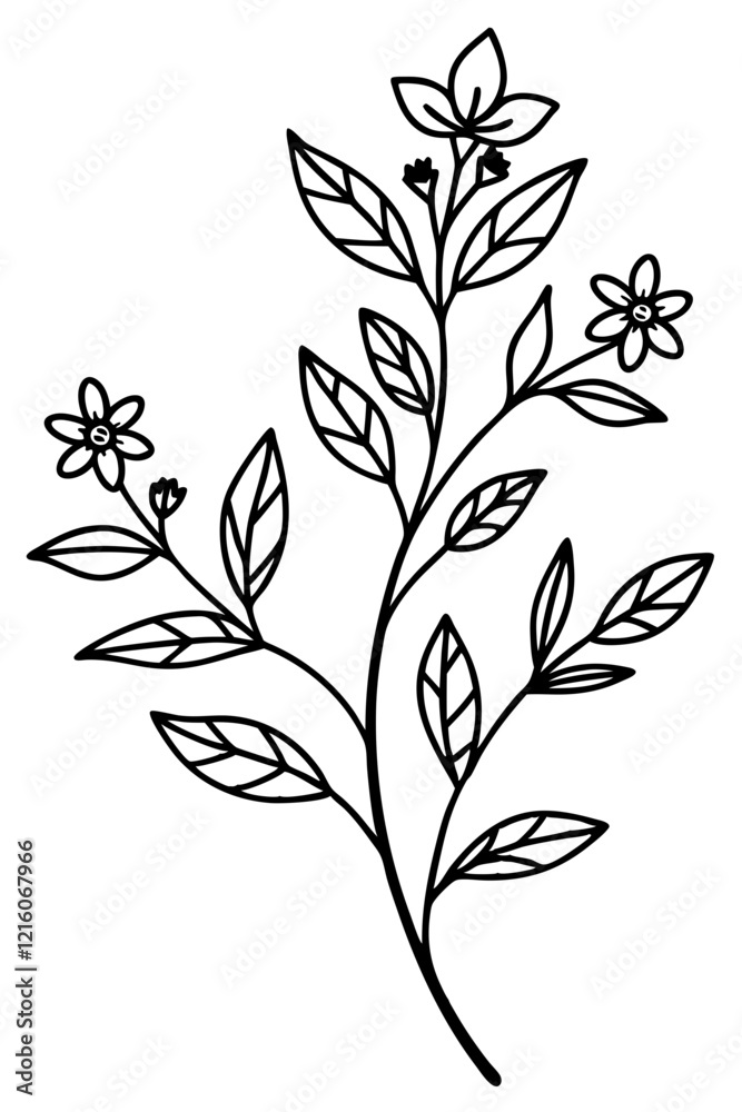 Fototapeta premium Trendy floral branch and minimalist flowers for logo or decorations. Hand drawn line wedding herb, elegant leaves for invitation save the date card. Botanical rustic trendy greenery