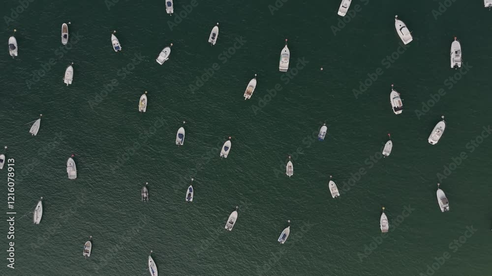 Many boats sailing on La Concha bay, San Sebastian marina, Overhead aerial view