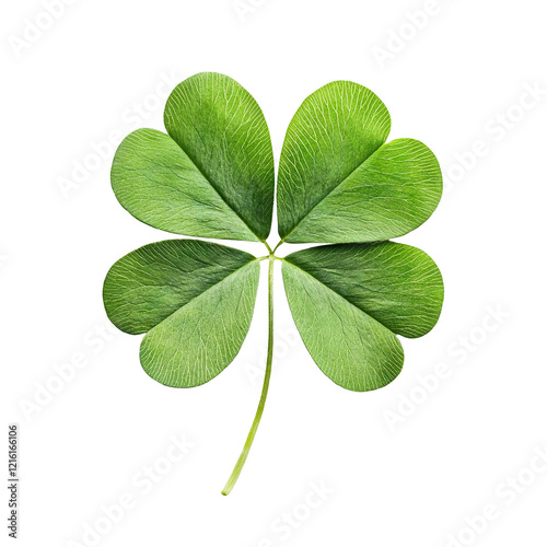 Green four-leaf clover symbolizing luck, isolated on transparent cutout background