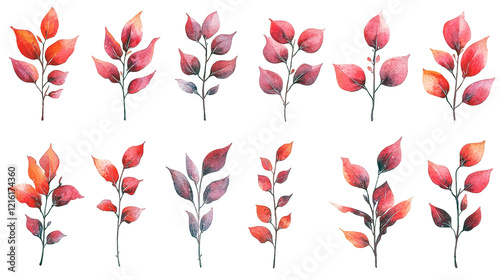 Watercolor Red Autumn Leaves: Botanical Illustrations for Fall Designs photo