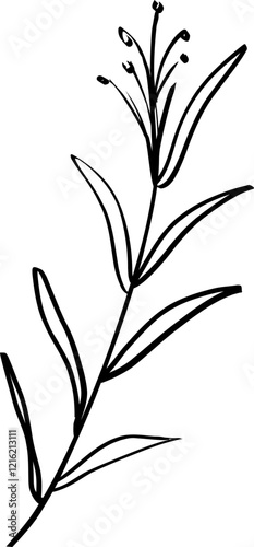 leaf line art decoration vector