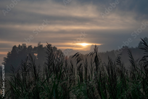 Sunset, twilight on a forest lake. Night landscape