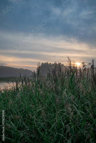 Sunset, twilight on a forest lake. Night landscape