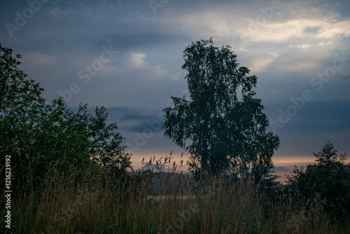 Sunset, twilight on a forest lake. Night landscape
