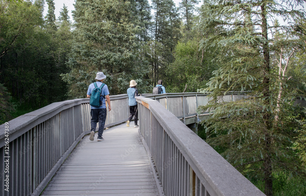 Three tourists walking on the protective boardwalk to the bear viewing platform. Brooks Falls. Katmai National Park. Alaska. USA.