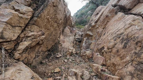 Off the Beaten Path: Exploring the Rugged Beauty of the Aravalli Range