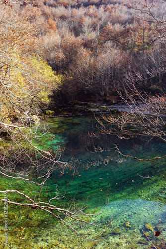 Natural landmark of Prokletije National Park: The Eye (Oko Skakavice) near Vusanje. The beauty of nature in the east of Montenegro: a small lake surrounded by trees with bright green clear water. photo