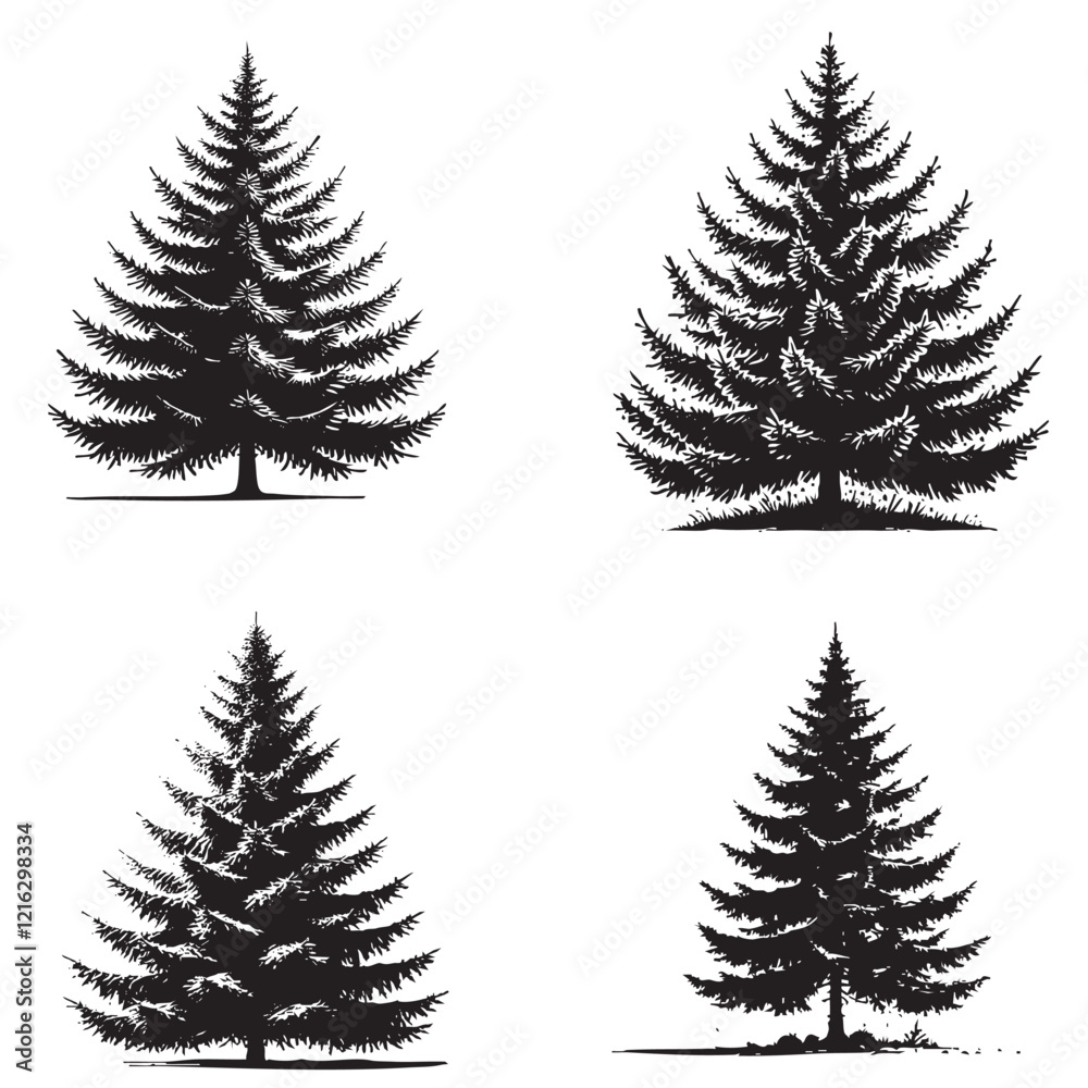 Obraz premium Vector Silhouette of the White Spruce Tree Isolated on a White Background