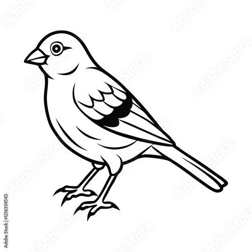 Artistic Canaries Bird Sketch Vector Illustration