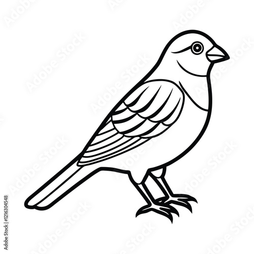 Vector Illustration of Canaries Bird Sketch