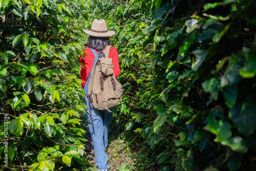 Woman with a typical Colombian hat walking through a coffee farm photo