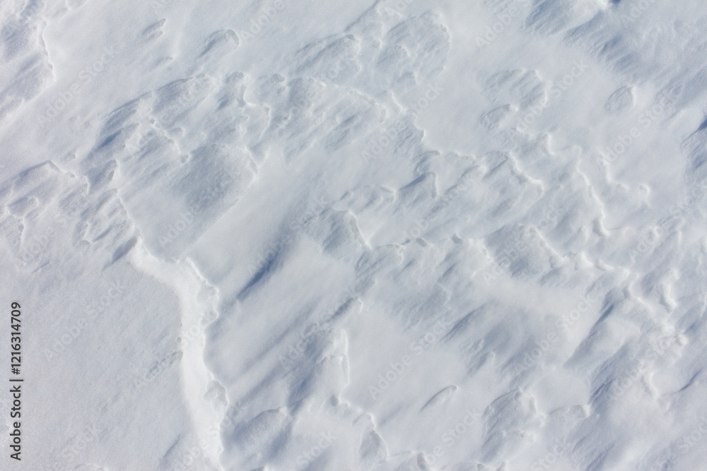 The snow is white and the ground is covered in it The snow is white and the ground is covered in it