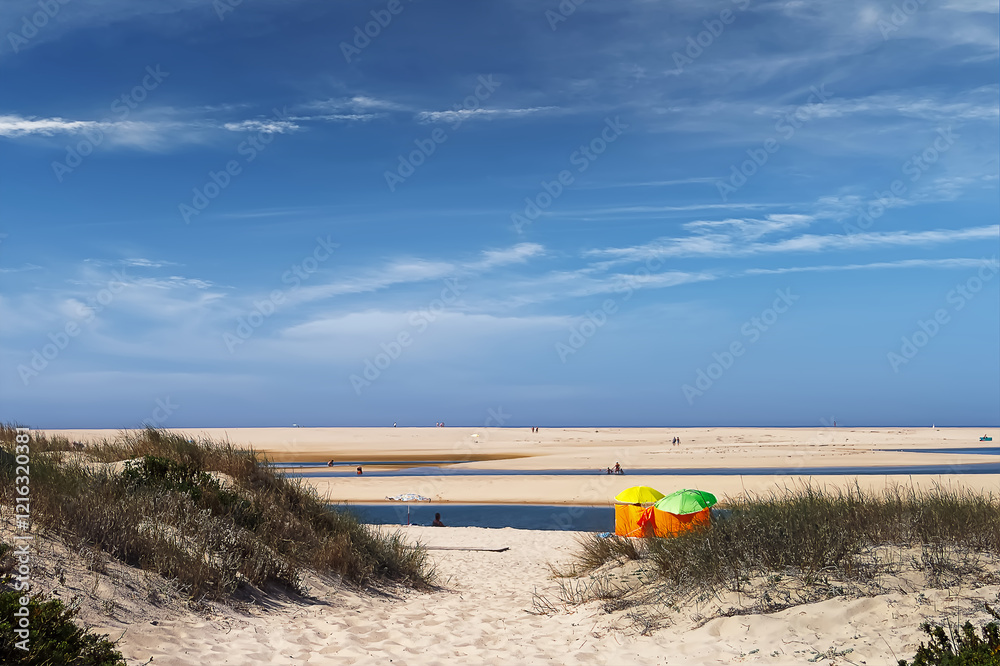 Beach with umbrellas and sand dunes Beach with umbrellas and sand dunes