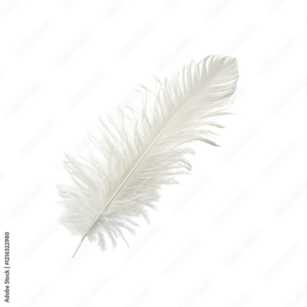 Obraz premium Single White Ostrich Feather, Laying Flat on White Background, Showing Delicate Texture and Fluffy Appearance, Expressing Elegance and Exoticism Transparent Background. Remove Background