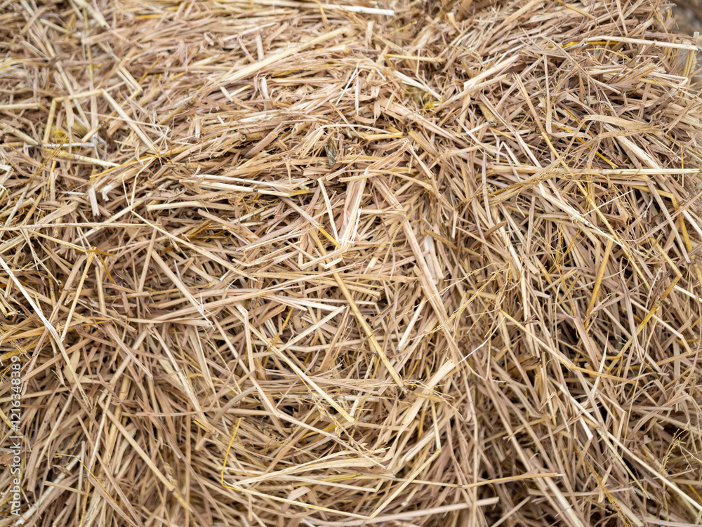 Harvesting straw bales farm field agriculture rural landscape aerial perspective sustainability Harvesting straw bales farm field agriculture rural landscape aerial perspective sustainability