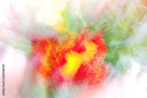 Fiori astratti