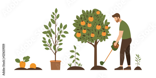 Gardener Watering Fruit Trees and Saplings in Growth Stages Illustration