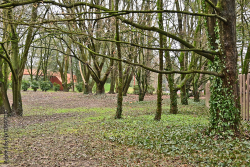 Inverno in Lombardia, campagna, giardini e bosco del lago di Basiglio e Milano 3 photo