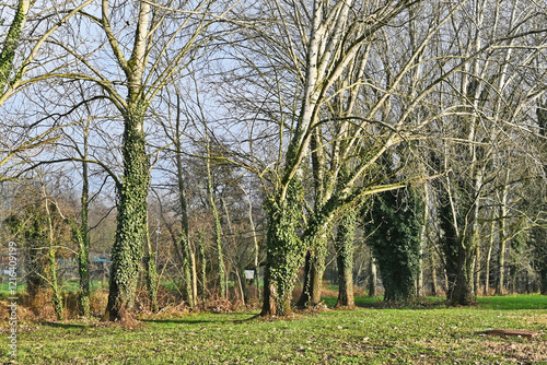 Inverno in Lombardia, campagna, giardini e bosco del lago di Basiglio e Milano 3 photo