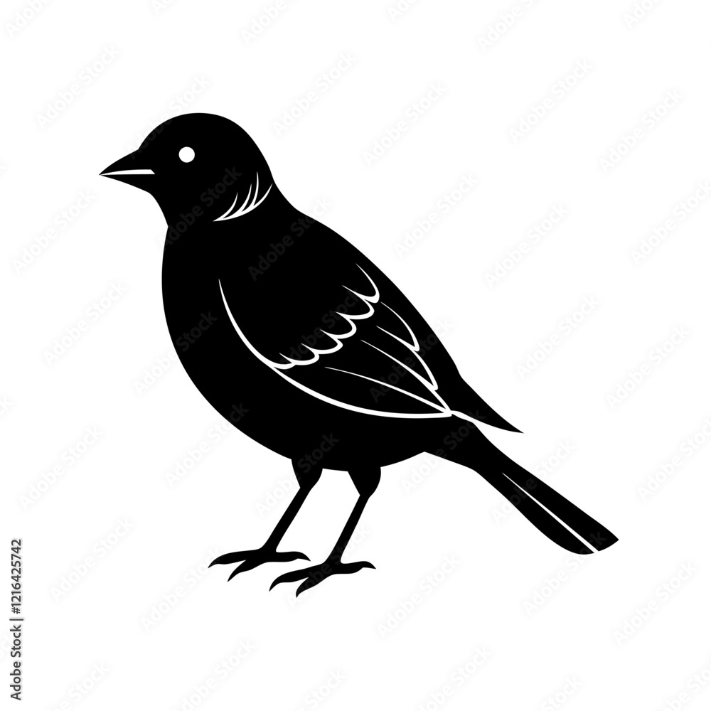 Obraz premium crow on a white background