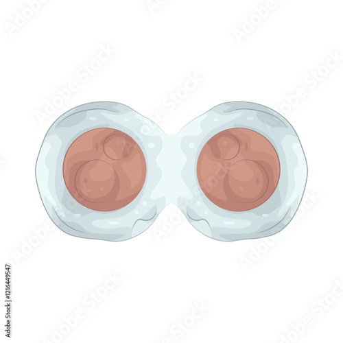 Illustration of stem cell