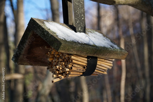 Bird feeder hanging on a branch in winter, selective focus photo