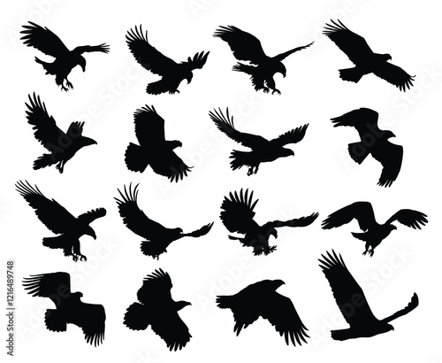 Big set silhouettes of wild eagles in flight.