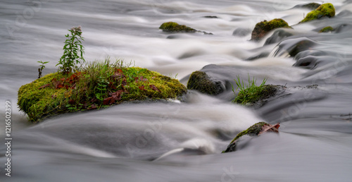 Island In the stream