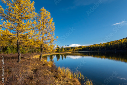 Serene mountain landscape featuring golden autumn trees reflecting on a peaceful lake, with snow-capped mountains in background against bright blue sky. Captures beauty and calmness of nature in fall