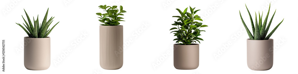 Assortment of potted houseplants succulents and greenery placed on shelves tables and desks in modern minimalist indoor settings to create a fresh calming and productive atmosphere Assortment of potted houseplants succulents and greenery placed on shelves tables and desks in modern minimalist indoor settings to create a fresh calming and productive atmosphere