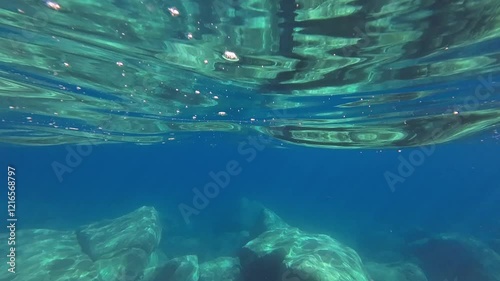 Underwater survey of the seabed. Paddle in blue water