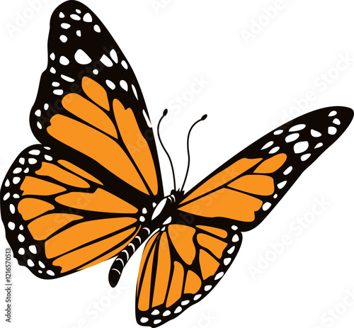 butterfly isolated on white background.The butterfly spreads its wings and is ready to fly.