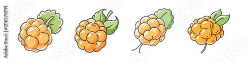 cloudberry fruit icon, cloudberry fruit vector illustration-simple illustration of cloudberry fruit, perfect for cloudberry fruit logos and icons