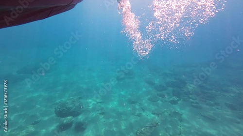 Underwater survey of the seabed. Paddle in blue water