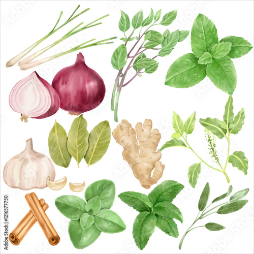 Watercolor Illustration of Fresh Herbs and Spices – Lemongrass, Basil, Ginger, Cinnamon, Mint, and Garlic for Culinary Inspiration