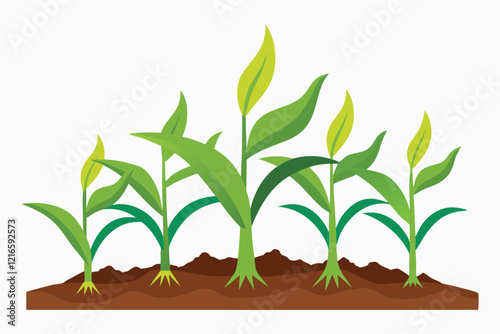 Fertile Soil, Flourishing Growth A Scientific Depiction of Corn Seedlings A.eps