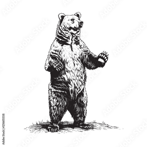 Grizzly bears standing upright on its hind legs, showcasing intricate fur details, strength, and wilderness elegance. Wildlife Animals.